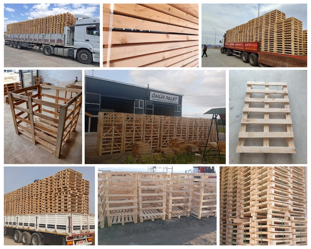 Chieti Palette Europe, Acheter des palettes en gros